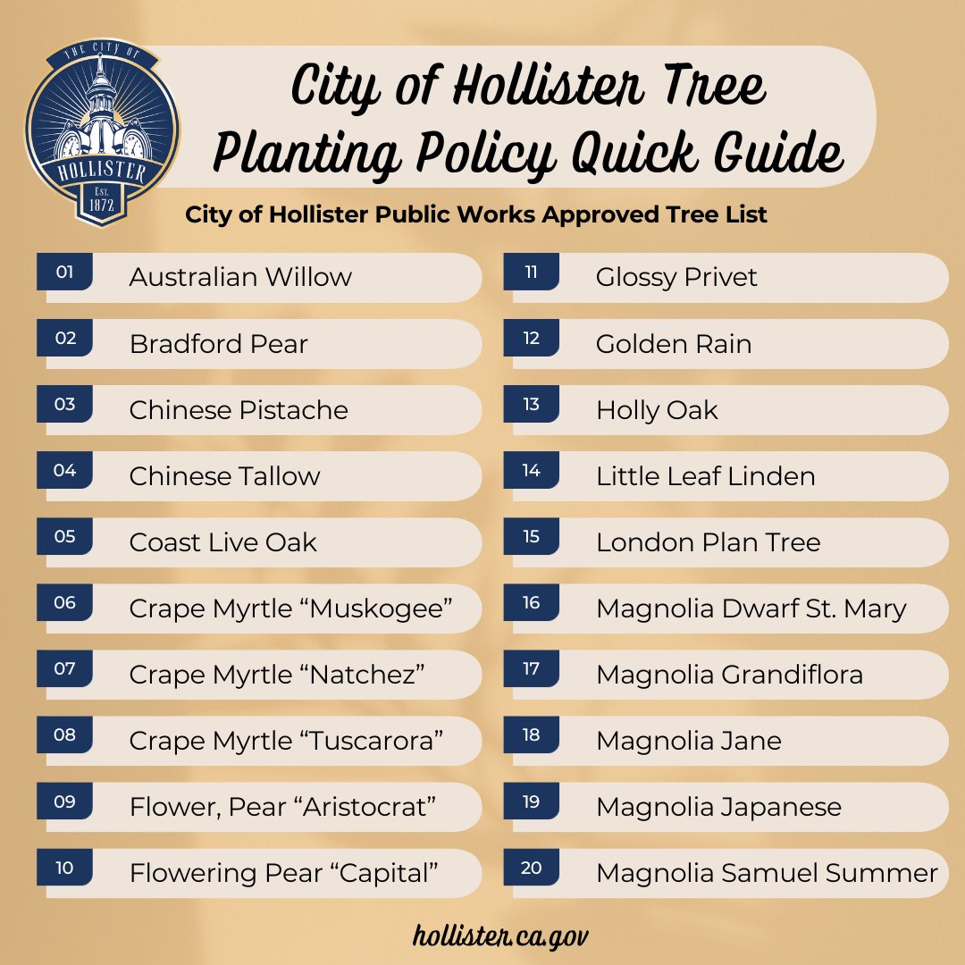 tree planting policy 1